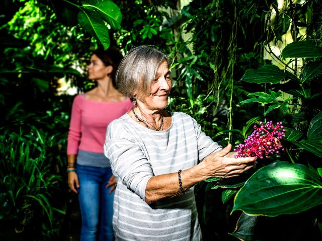 Frauen im Botanischen Garten